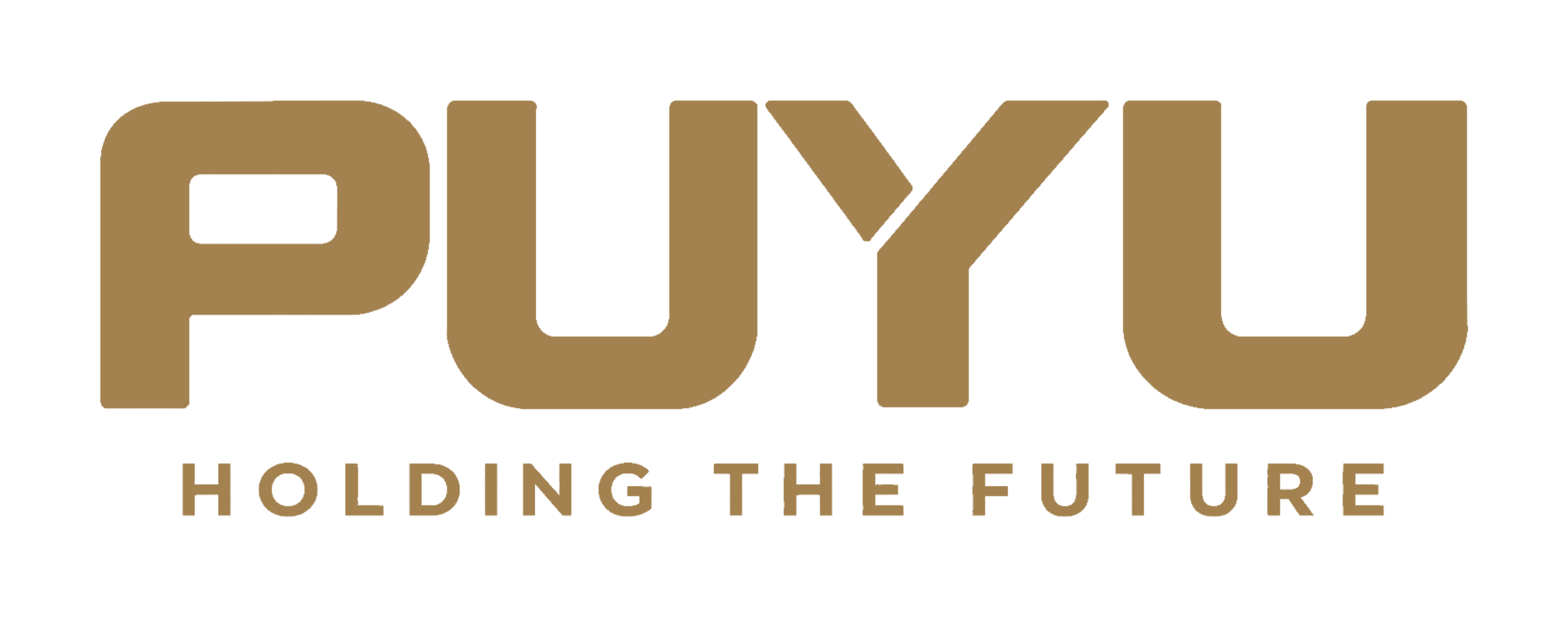 PUYU HOLDING THE FUTURE